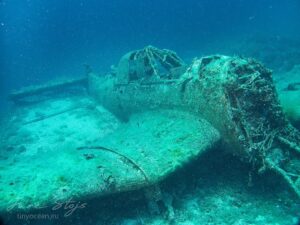 Junkers Ju 87 "Stuka"